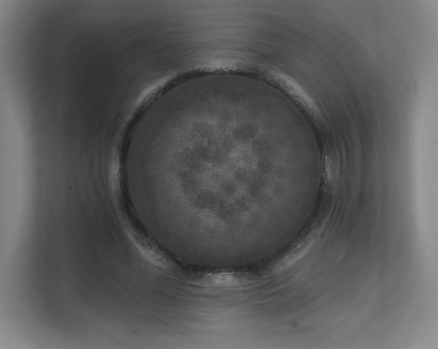 X0000111640588200907171548