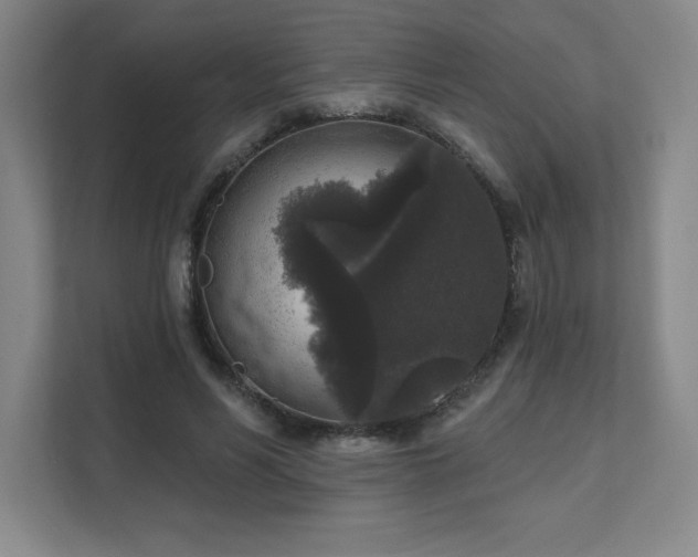 X0000111640590200907171548