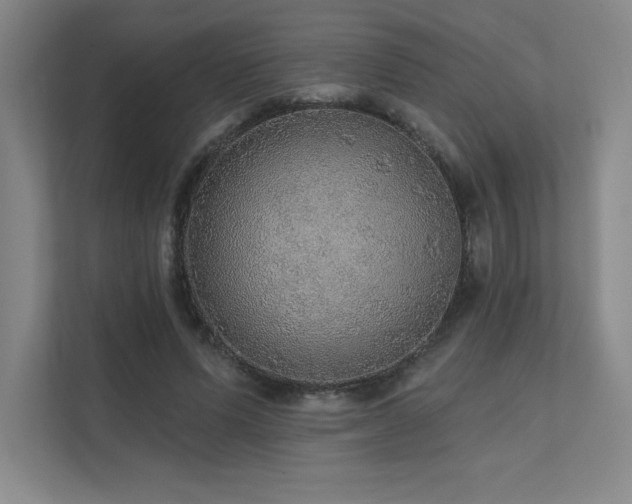 X0000111640591200907171548