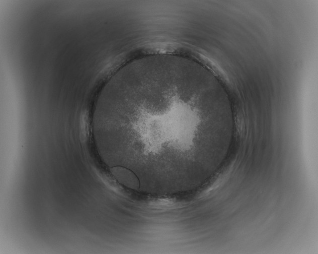 X0000111640594200907171548