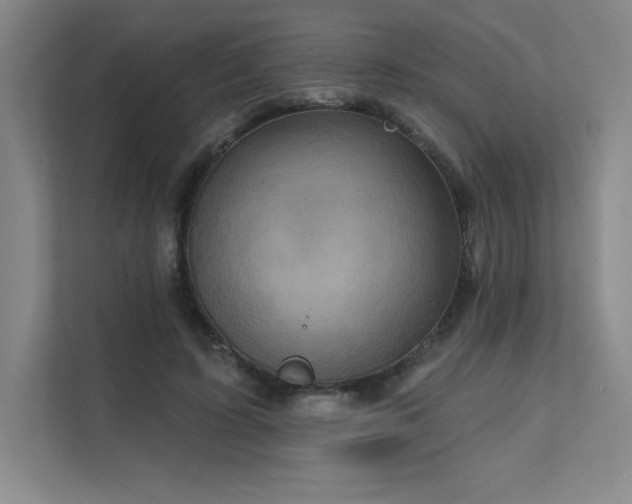 X0000111640595200907171548