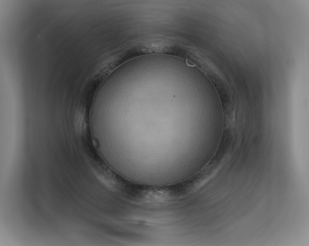 X0000111640599200907171548