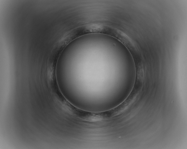 X0000111640604200907171548
