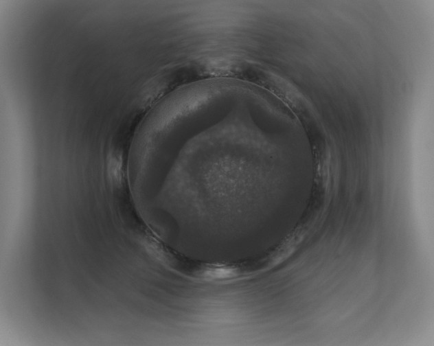 X0000111640610200907171548
