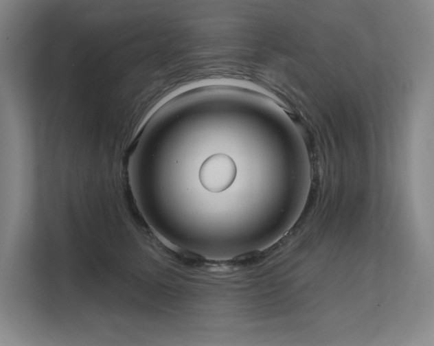 X0000111640611200907171548