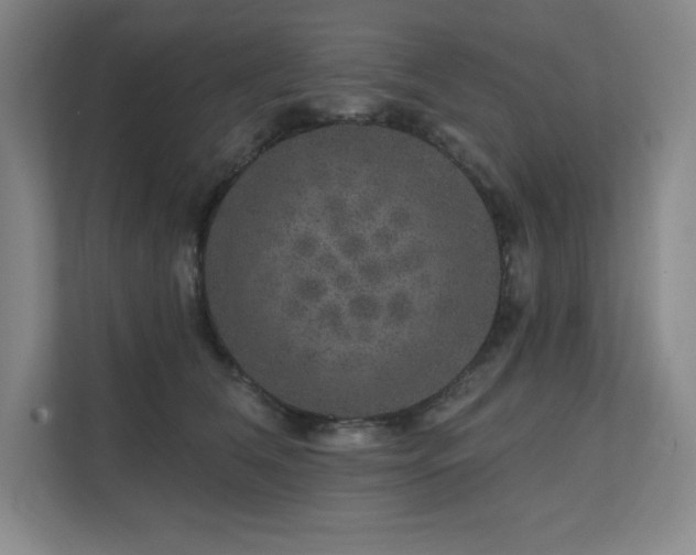 X0000111640612200907171548