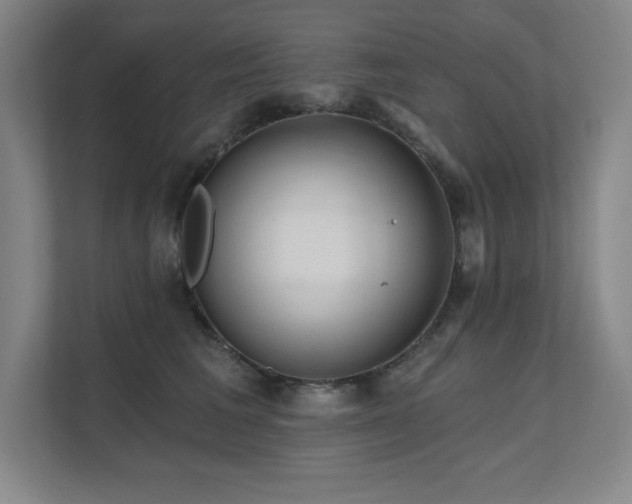 X0000111640613200907171548