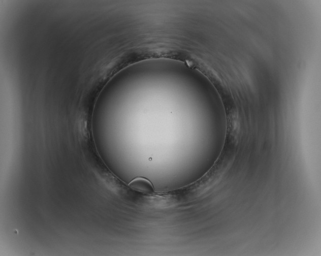 X0000111640615200907171548