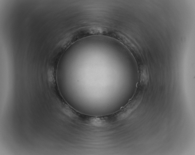 X0000111640616200907171548