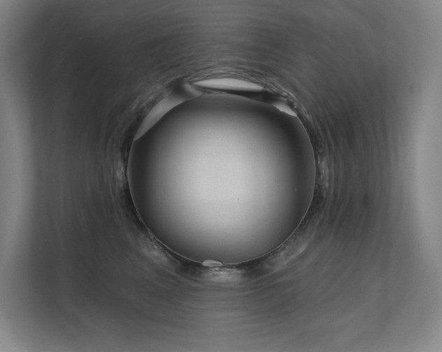 X0000111640617200907171548