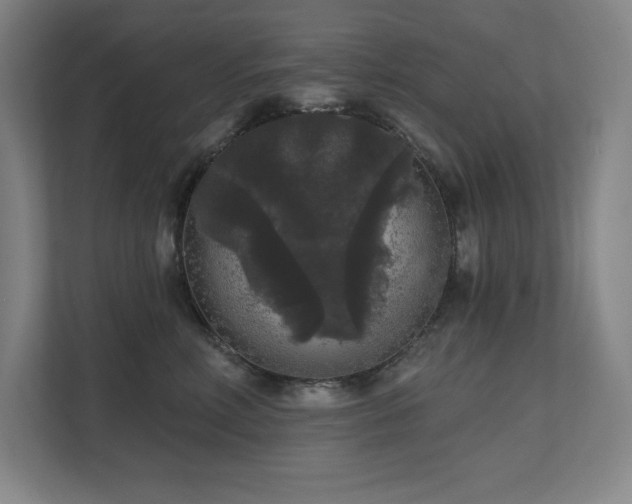 X0000111640618200907171548