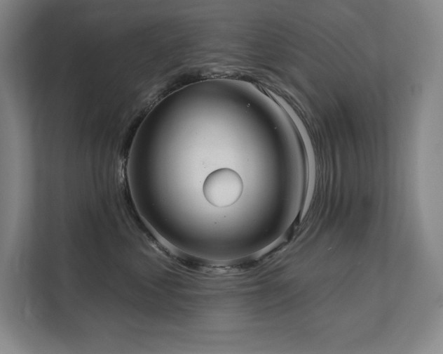 X0000111640621200907171548