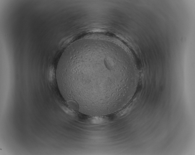 X0000111640623200907171548