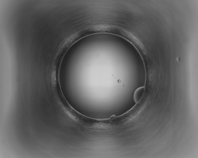 X0000111640633200907171547