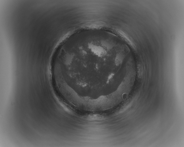 X0000111640634200907171547