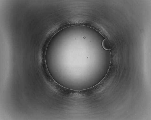 X0000111640635200907171547