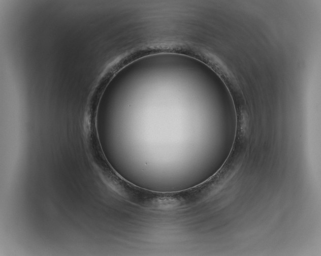 X0000111640636200907171547