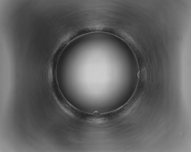 X0000111640638200907171547