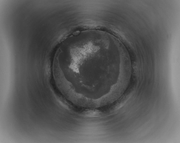 X0000111640642200907171547