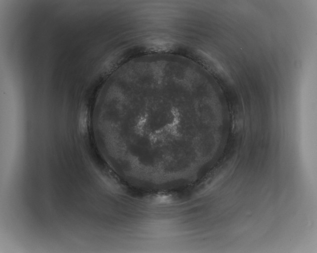 X0000111640647200907171548