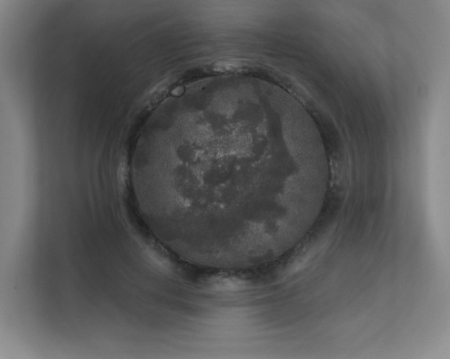 X0000111640648200907171548