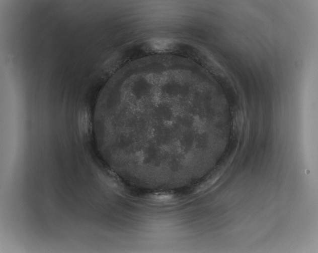 X0000111640651200907171548