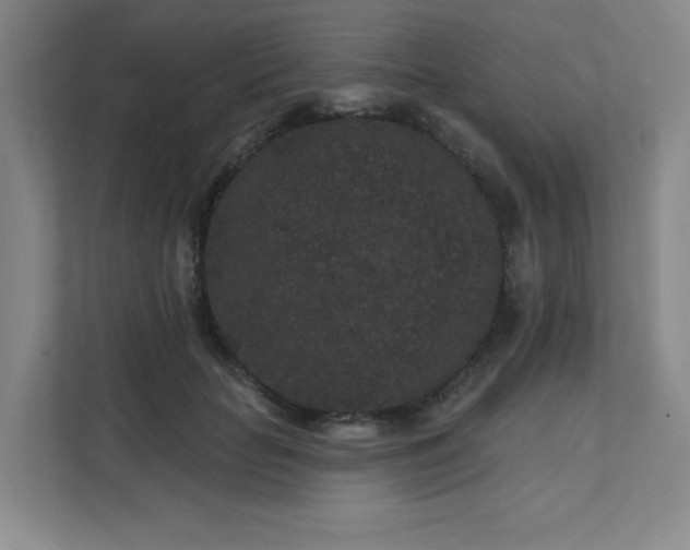 X0000111640653200907171548