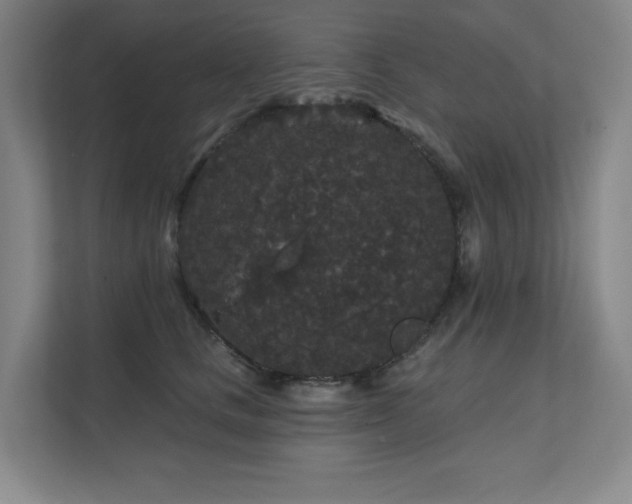 X0000111640661200907171548