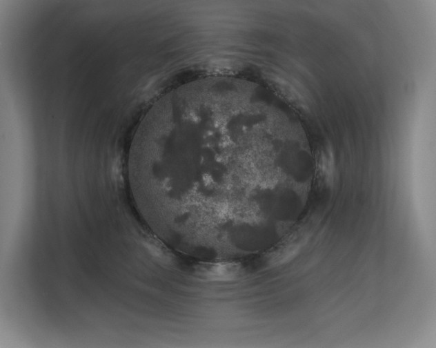 X0000111640663200907171548