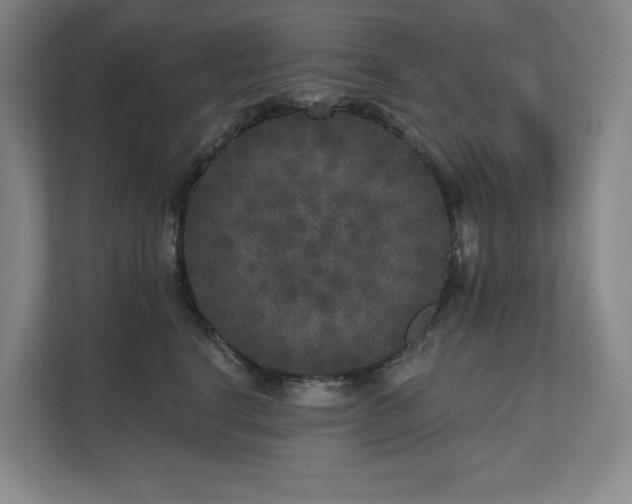 X0000111640664200907171548