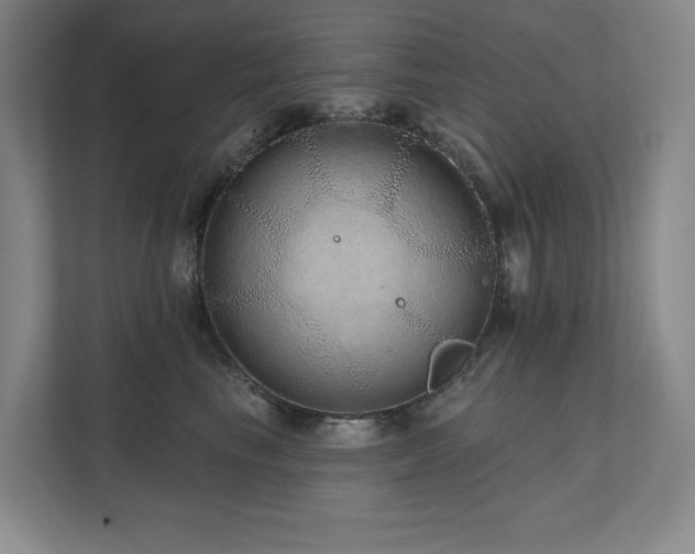 X0000111640665200907171548