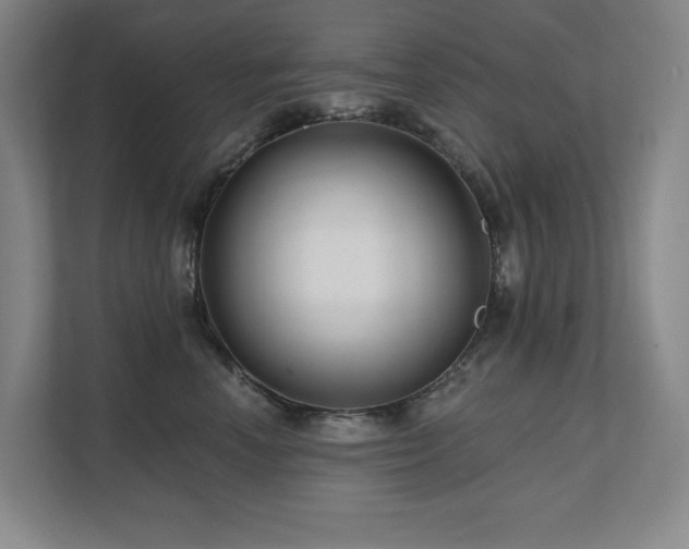 X0000111640666200907171548