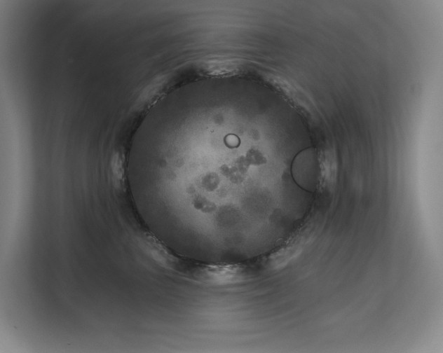 X0000111640667200907171548