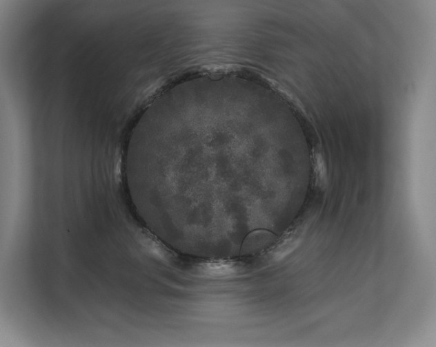 X0000111640668200907171548