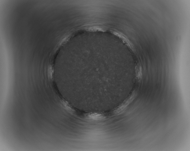 X0000111640669200907171548
