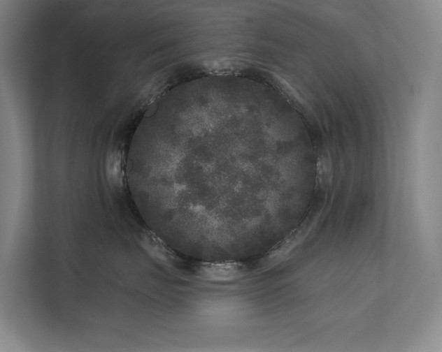 X0000111640671200907171548