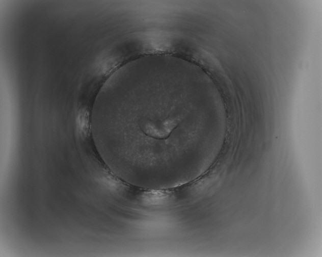 X0000111640672200907171548