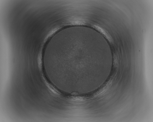 X0000111640677200907171547