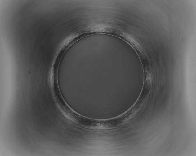 X0000111640678200907171547