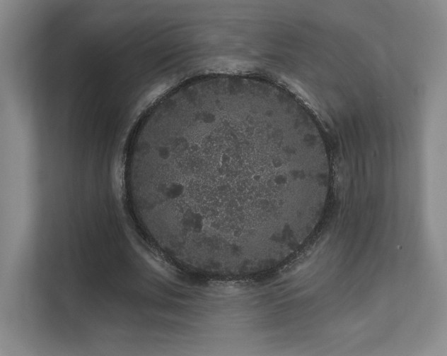 X0000111640679200907171547