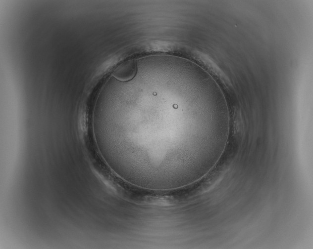X0000111640683200907171547