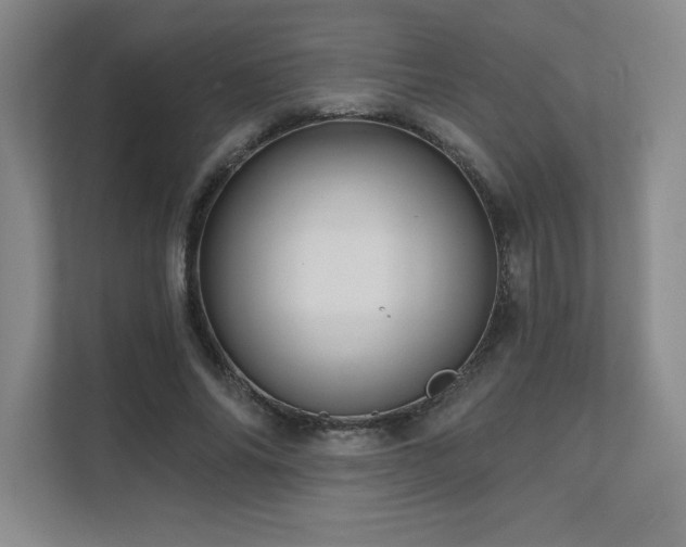 X0000111640686200907171547
