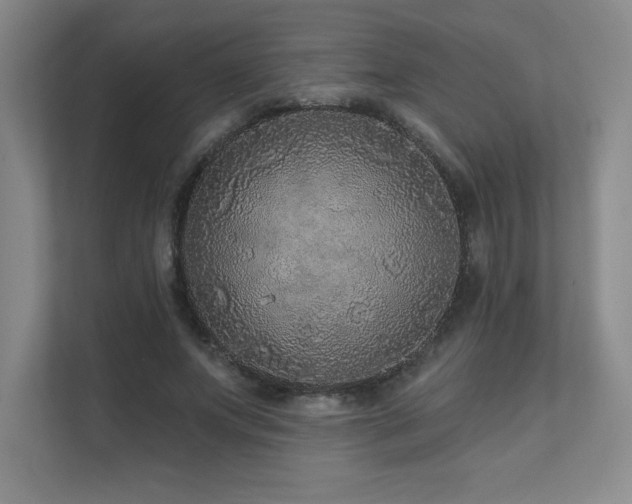 X0000111640687200907171547