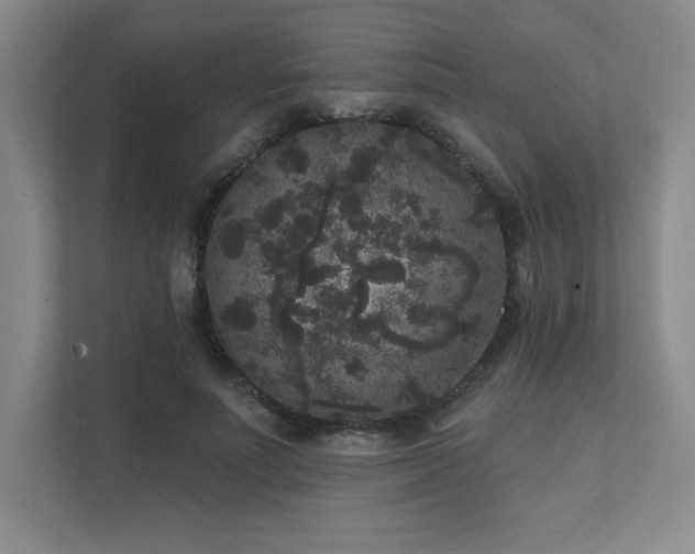 X0000111640691200907171547