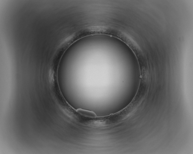 X0000111640692200907171547