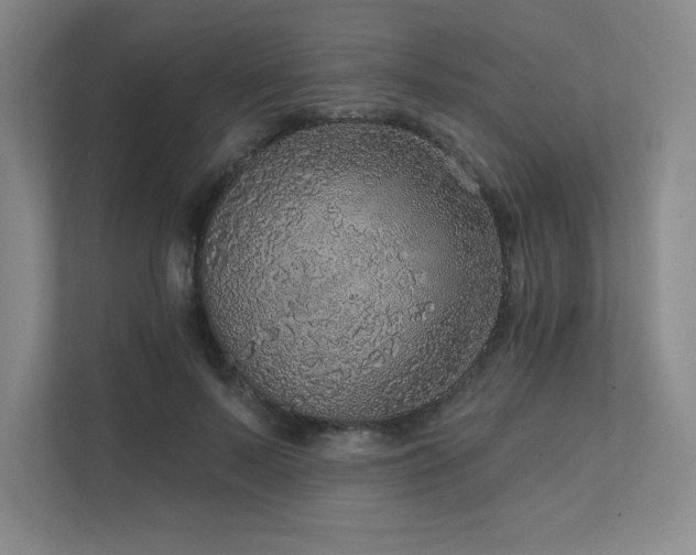 X0000111640695200907171547