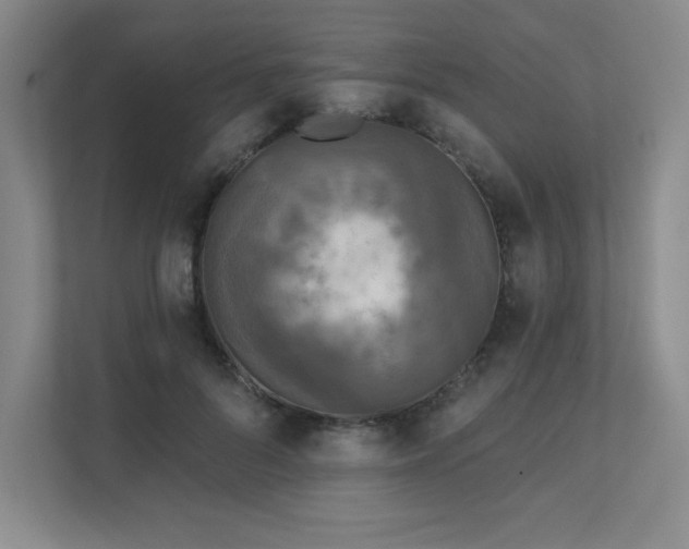 X0000111640696200907171547