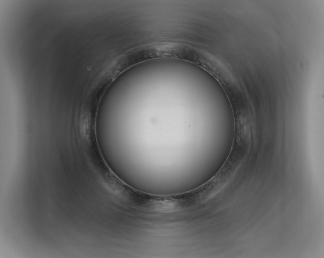 X0000111640698200907171547