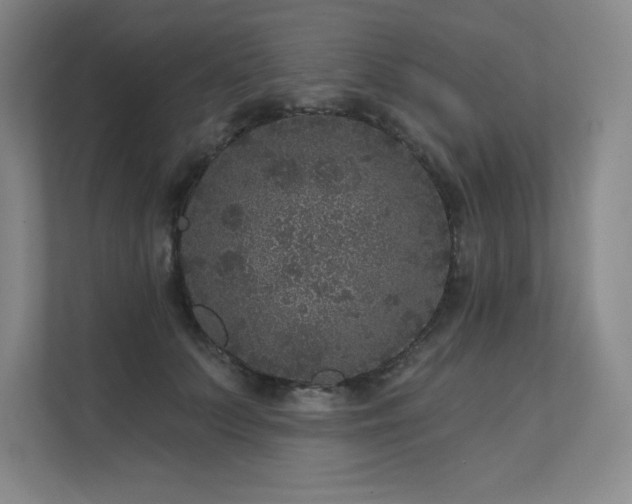 X0000111640703200907171547