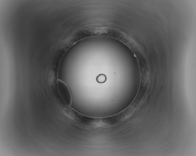 X0000111640704200907171547
